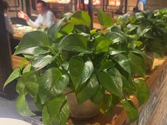 -管氏翅吧(甘家口店)