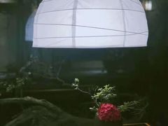 -乐领拈花溪·林涧食韵