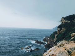 -杨梅坑