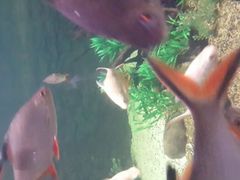 android_upload_pic-郑州海洋馆