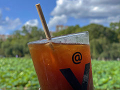 -翠湖公园