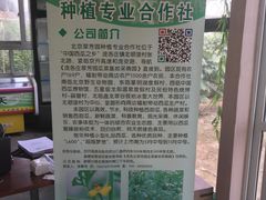 -庞各庄翠芳园西瓜蔬菜基地采摘园