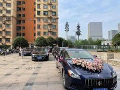 -蚂蚁婚车