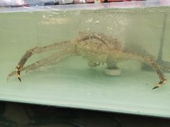 -兴龙广缘超市(奥体中心店)