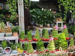 -桂林市花鸟市场