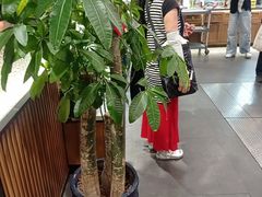 -王家沙点心店(南京西路总店)