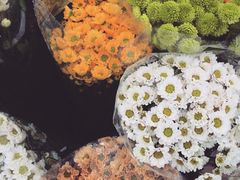 iphone_upload_pic-秦美花卉(天朗·莱茵小城2期店)