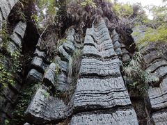 -梭布垭石林景区