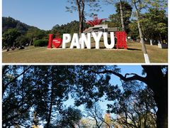 -番禺大夫山森林公园