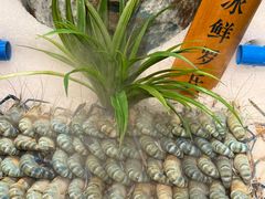 -焰江山海鲜牛排烤肉自助(锦华万达二星店)