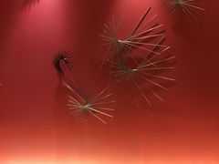 -上海浦东丽晟假日酒店
