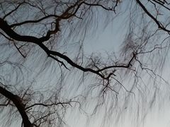 -颐和园