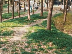 -嘉北郊野公园