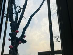 -东兴顺爆肚张