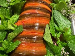 -莺花渡火锅City Green(万象城店)