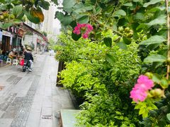 -成都市活水公园