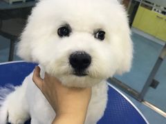 -瑞派宠物医院·24小时骨科·心脏·核磁(哈尔滨南岗店)