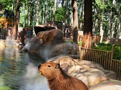 -北京野生动物园