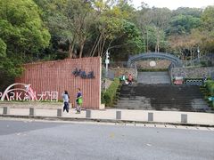 -银湖山郊野公园-相思林