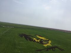 -红海滩国家风景廊道