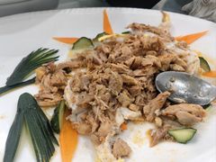 -丁老爷子苏香圆