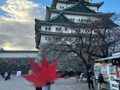 -名古屋城