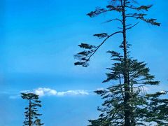 -瓦屋山景区