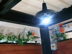 -三强鸽子(中原路店)