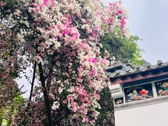 -深圳国际园林花卉博览园