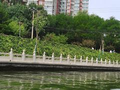 -皇家御河游(紫御湾码头)