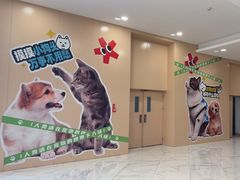 -凯德MALL(望京店)