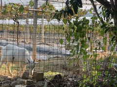 -杭州屏风山越野车营地·团建别墅轰趴民宿