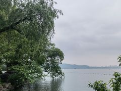 -浙江西子宾馆·瑶园咖啡厅