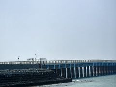 -贝壳沙滩