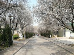 -山东师范大学(千佛山校区)