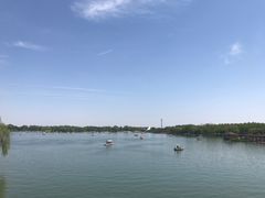 -石家庄市植物园