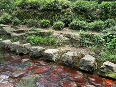 -小狗面馆(复兴店)