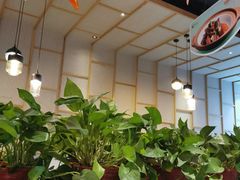 -洛阳宴·洛阳菜(南昌路店)