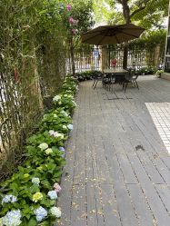 -医颜医疗美容门诊部