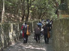 -普陀山风景区-佛顶山