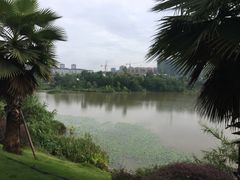 -枫香湖儿童公园