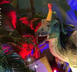 -恐龙探索乐园(磁器口店)