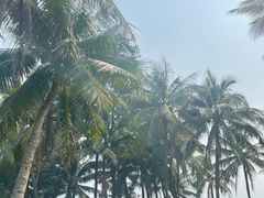 -海口喜来登酒店