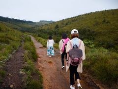 -霍顿平原国家公园