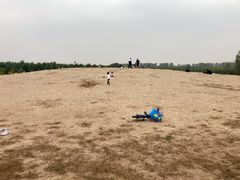 -东郊湿地公园