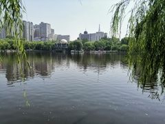 -文瀛公园