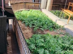 -黄山老妈·土菜(碧桂园店)