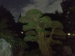 -中山公园