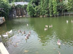 -广州市帽峰山景区
