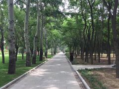 -北京麋鹿生态实验中心